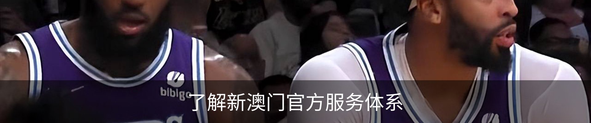 了解新澳门官方服务体系